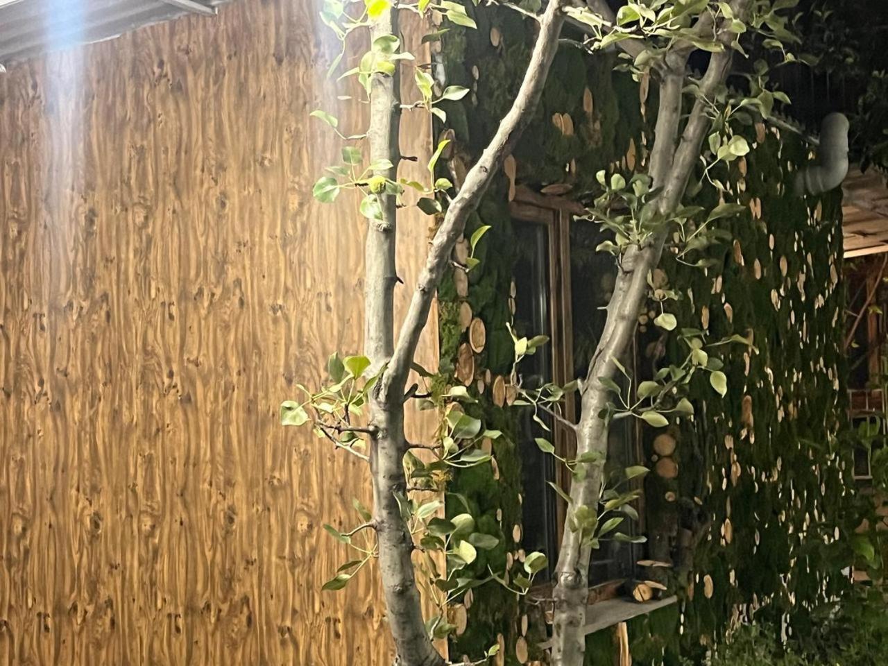 Andranik B&B Goris Exterior photo